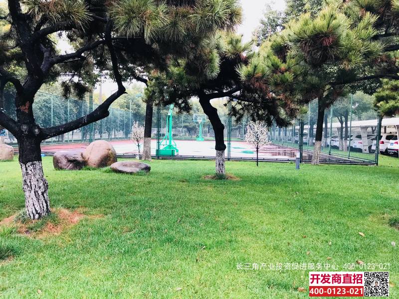 下载 (1).jpg