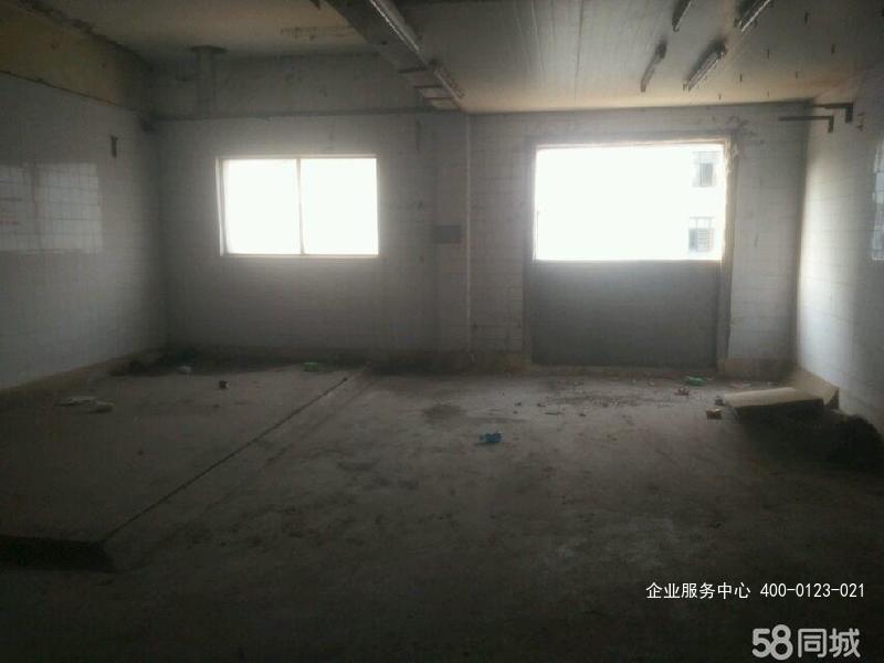 G2433南京建邺奥体 雨润大街 仓库 350平米，一楼 适合做仓库 可以加工厂 也可以分割租 也可以办公