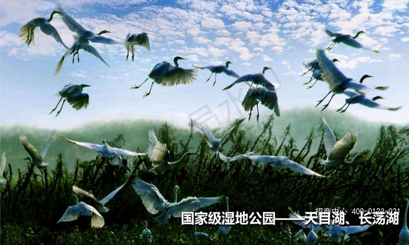 通用版中文 PPT_02.jpg